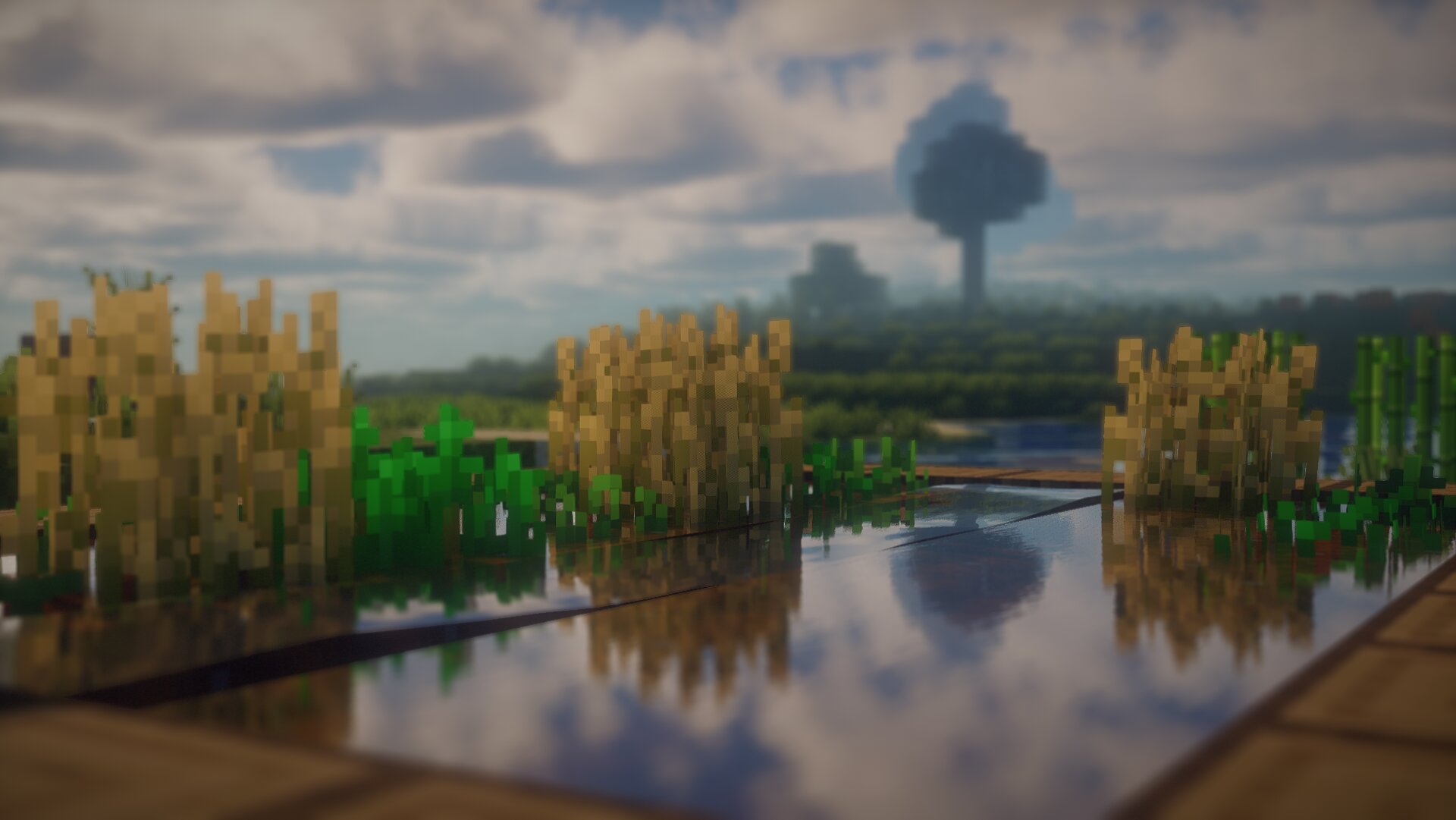 TurtleShaders gameplay screenshot 2